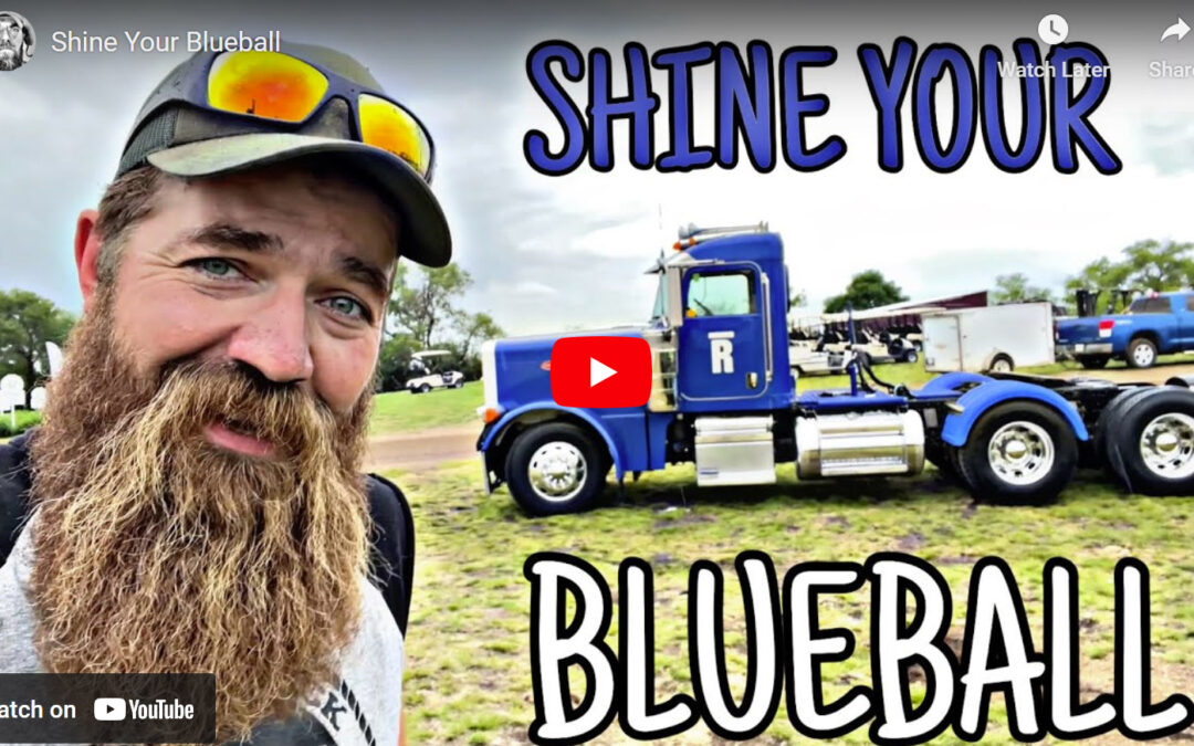 Quick Dick McDick: Shine your Blueball
