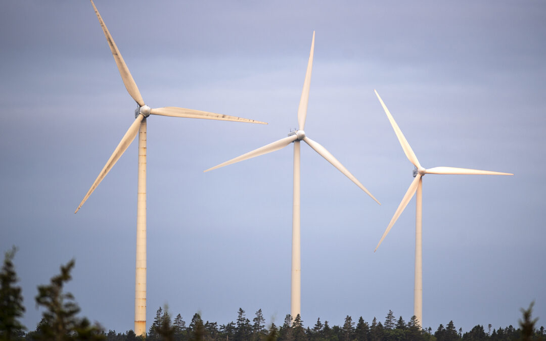 Donald Trump’s disdain for wind energy could create windfall for Nova Scotia: experts
