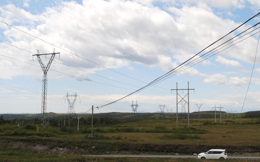 If Newfoundland hydrogen companies pivot, government says it will collect royalties
