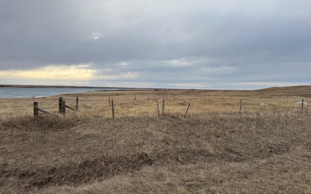 BREAKING: SaskPower buys land on Rafferty Reservoir for possible nuclear reactors