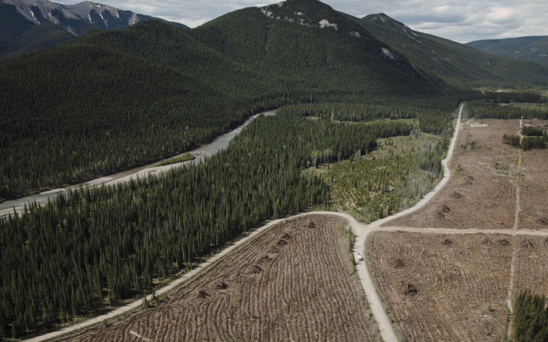 Alberta reaches settlement with two coal companies suing over policy flip-flop